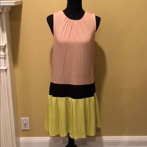 Walter Baker Pleated Dress